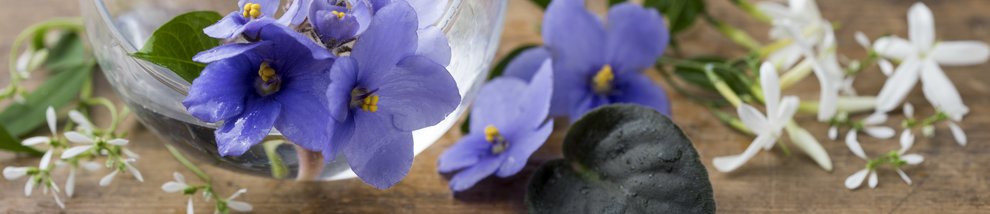 ניחוח מים מסתוריים