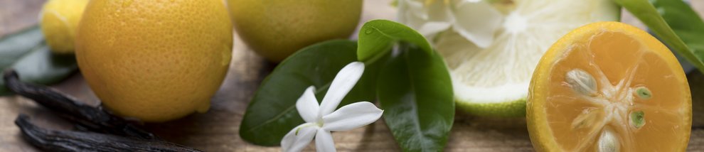 ניחוח פריחת הדרים