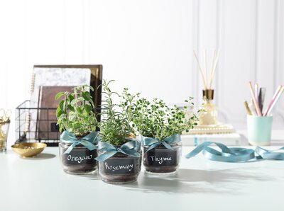 יום כדור הארץ: להשתמש מחדש, לאהוב מחדש